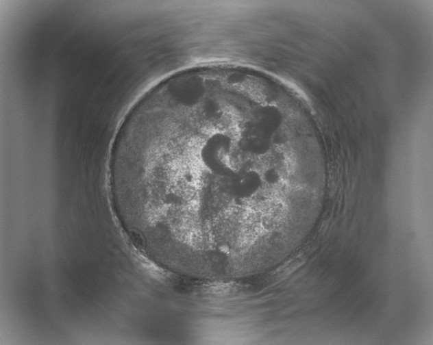 X0000072531279200607290215