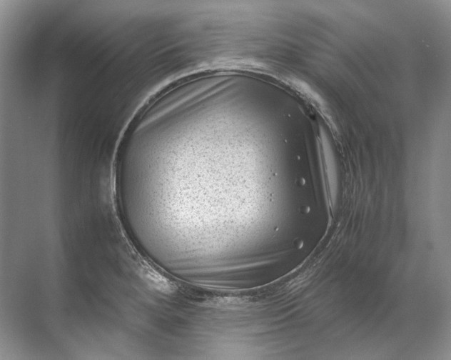 X0000072531280200607290215