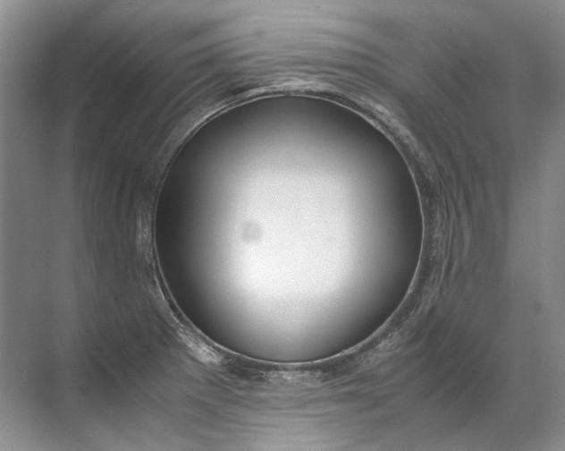 X0000072531281200607290215