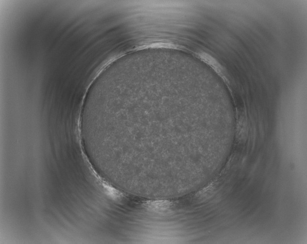 X0000072531282200607290215