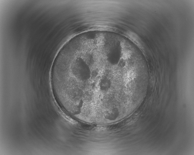 X0000072531283200607290215