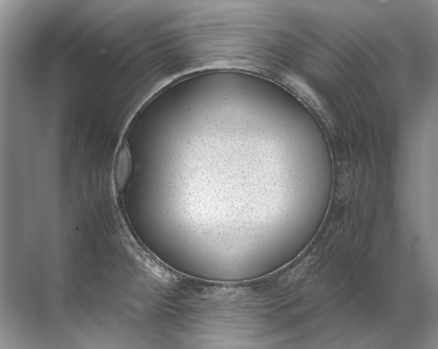 X0000072531284200607290215