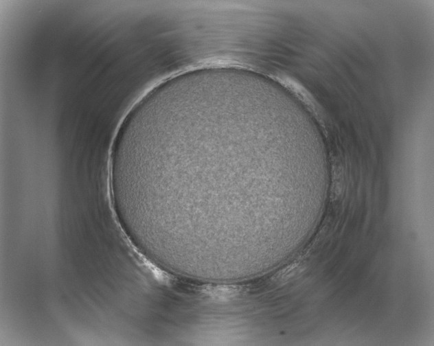 X0000072531286200607290215