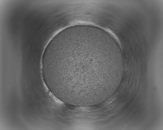 X0000072531287200607290215