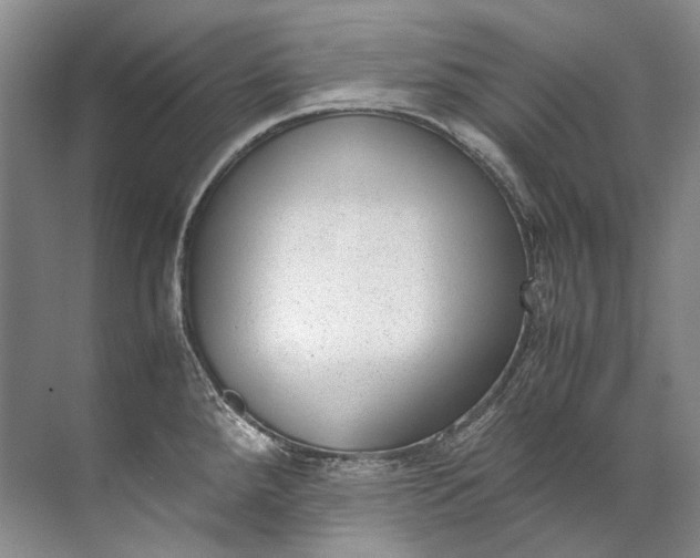 X0000072531288200607290214