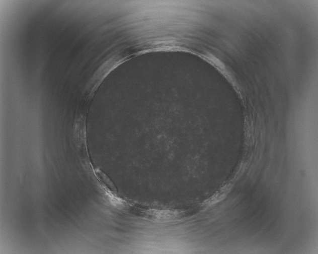 X0000072531289200607290214