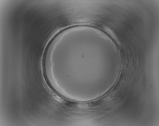 X0000072531291200607290214