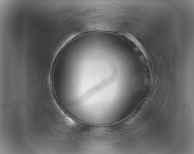 X0000072531293200607290214