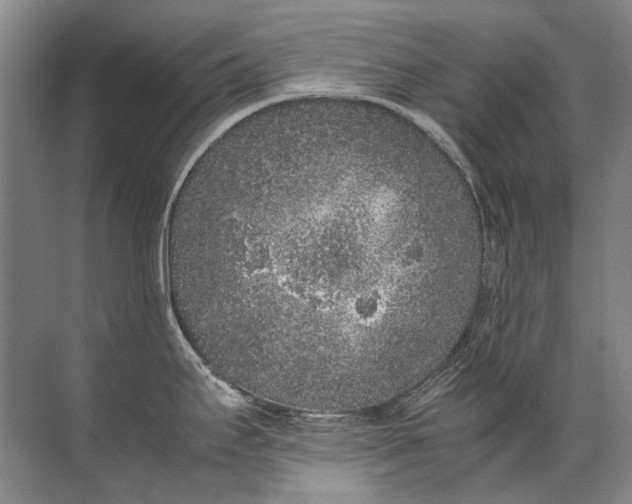 X0000072531295200607290214