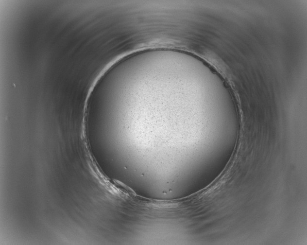 X0000072531296200607290214