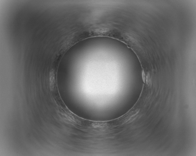 X0000072531299200607290214