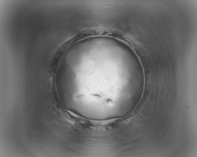 X0000072531302200607290214