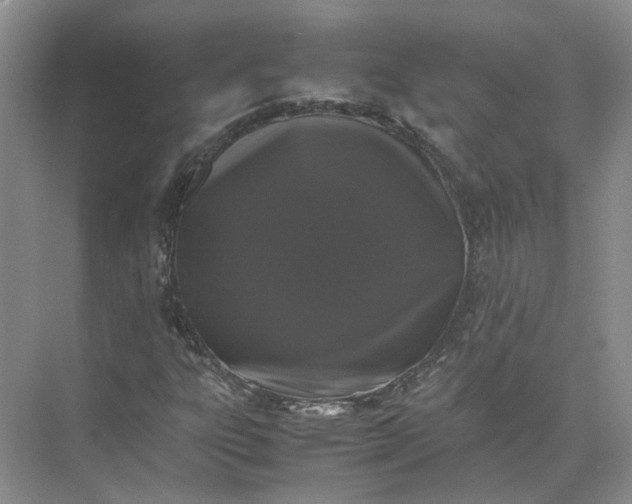 X0000072531303200607290214