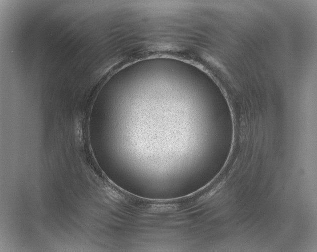 X0000072531305200607290214