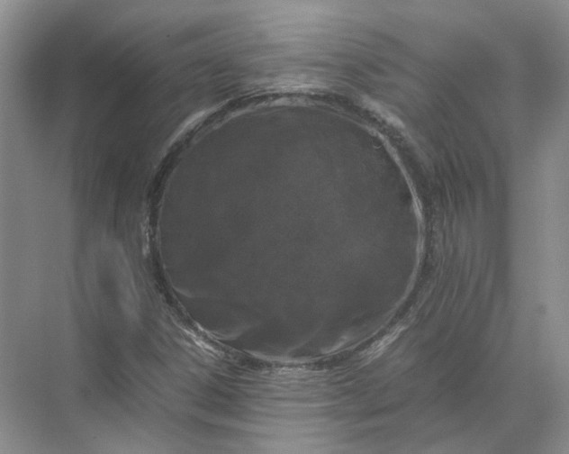 X0000072531306200607290214