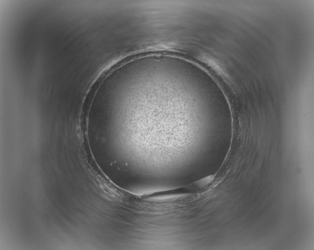 X0000072531308200607290214