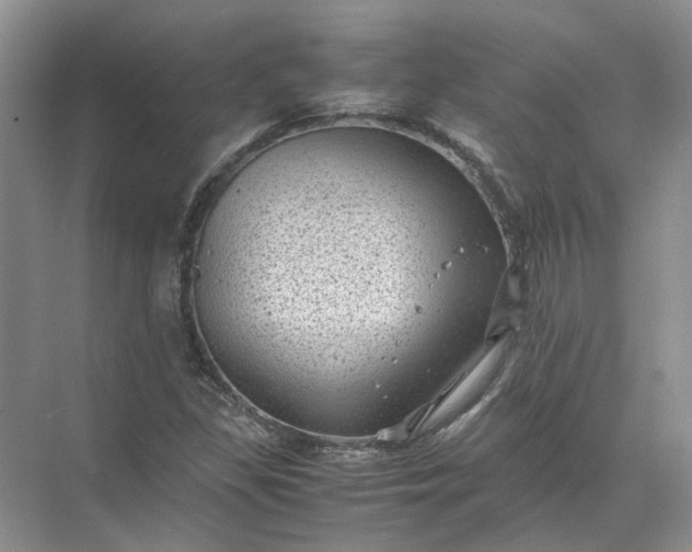 X0000072531309200607290214