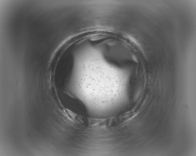 X0000072531310200607290214