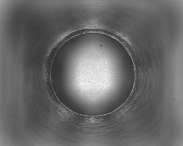 X0000072531311200607290214