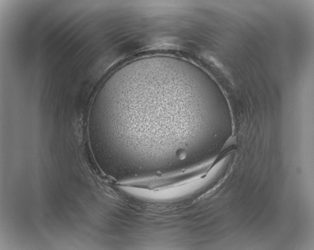 X0000072531313200607290214