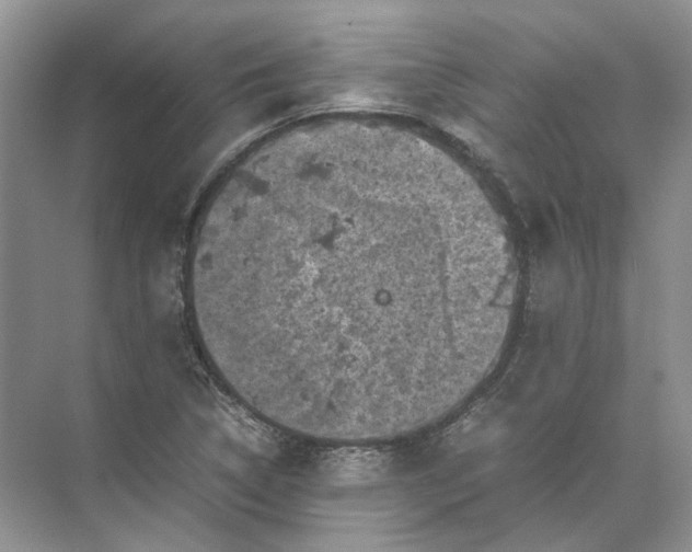 X0000072531314200607290214