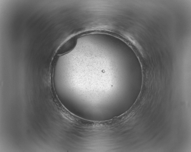 X0000072531316200607290214