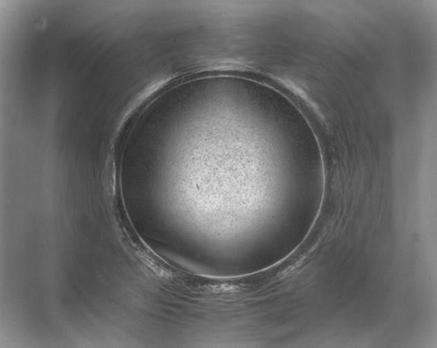 X0000072531317200607290214