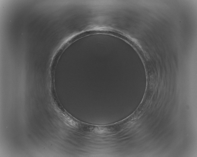 X0000072531319200607290214