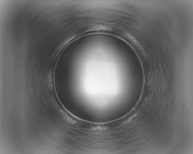 X0000072531321200607290214