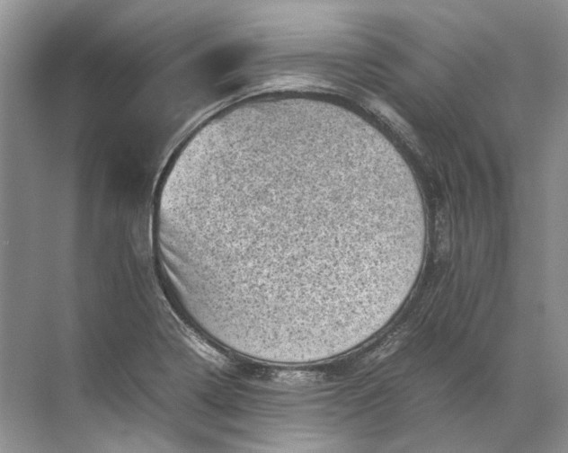 X0000072531322200607290214