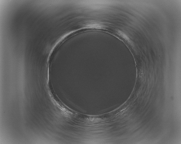 X0000072531323200607290214