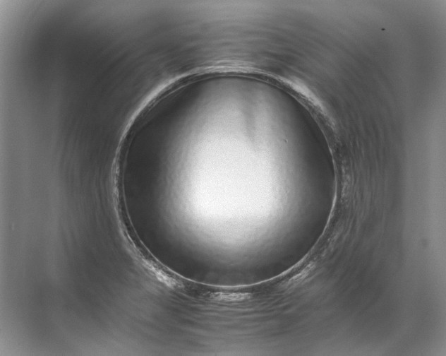 X0000072531325200607290214