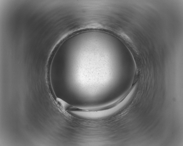 X0000072531326200607290214