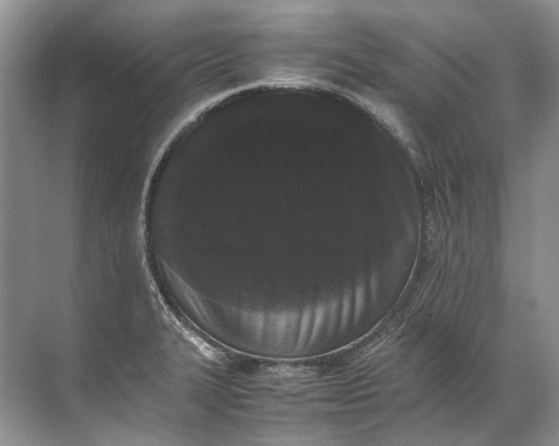 X0000072531327200607290214