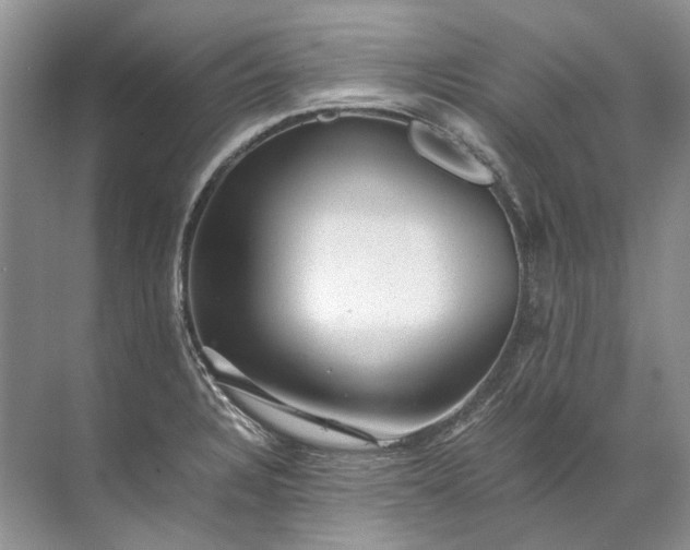 X0000072531328200607290214