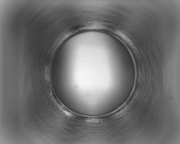 X0000072531329200607290214