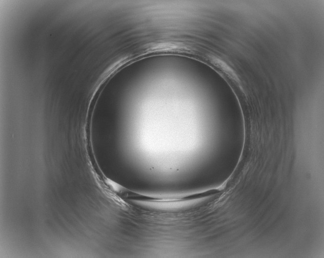 X0000072531330200607290214