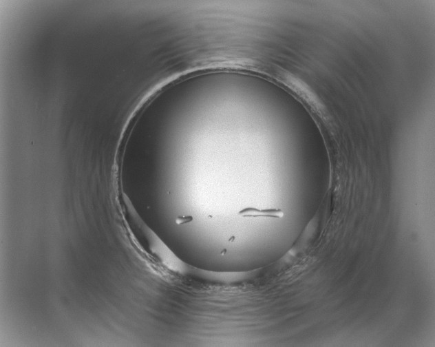 X0000072531332200607290214