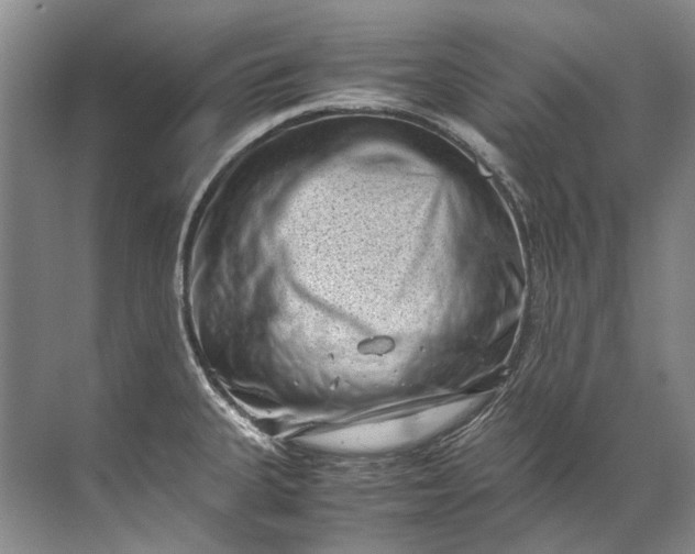 X0000072531335200607290214