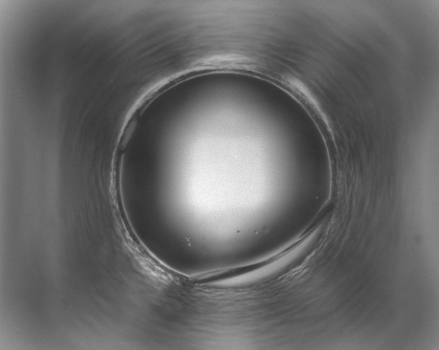 X0000072531336200607290214