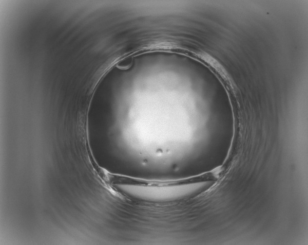 X0000072531337200607290214