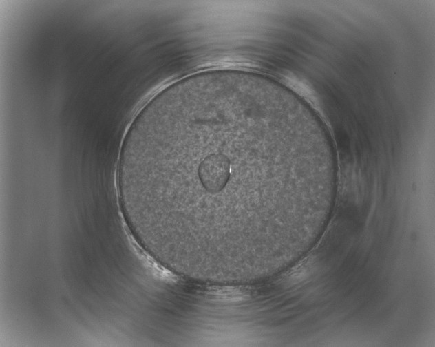 X0000072531338200607290214