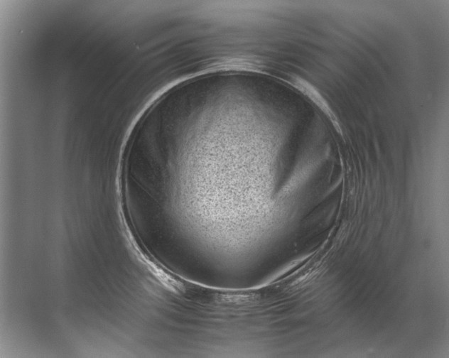 X0000072531339200607290214