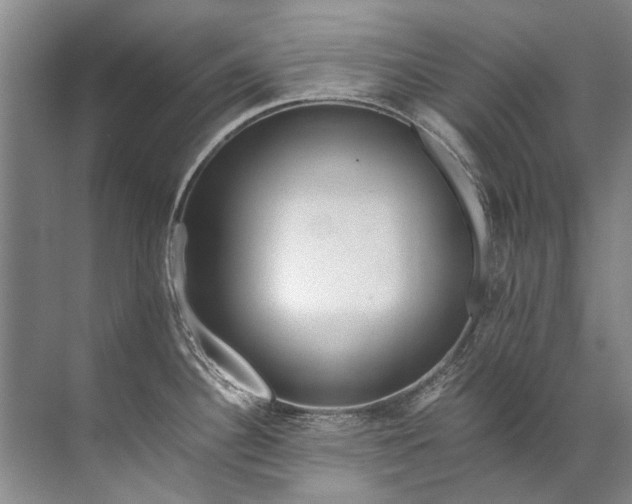 X0000072531340200607290214