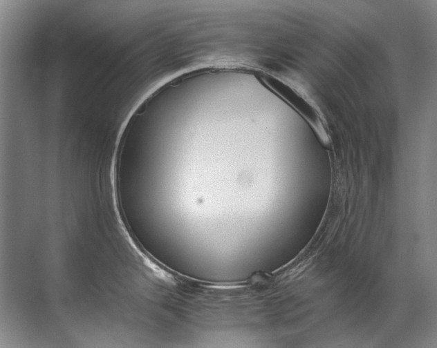 X0000072531343200607290214