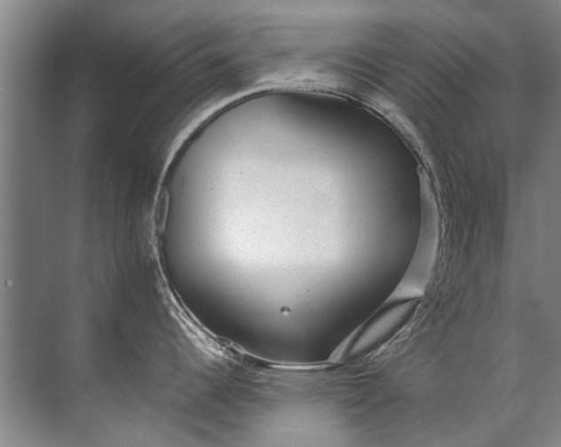 X0000072531344200607290214