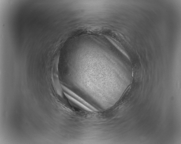 X0000072531345200607290214