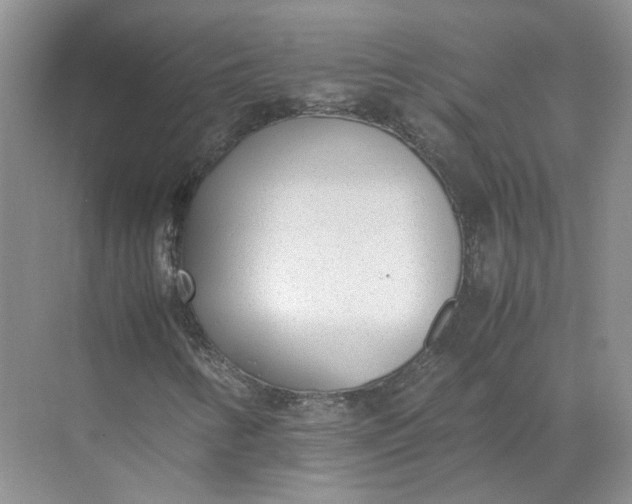 X0000072531346200607290214