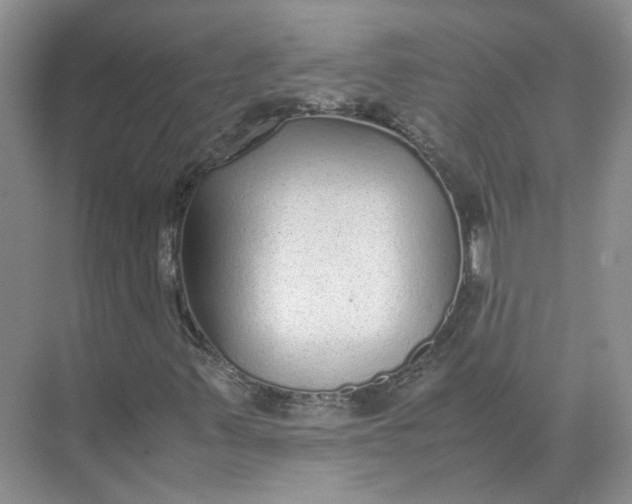 X0000072531347200607290213