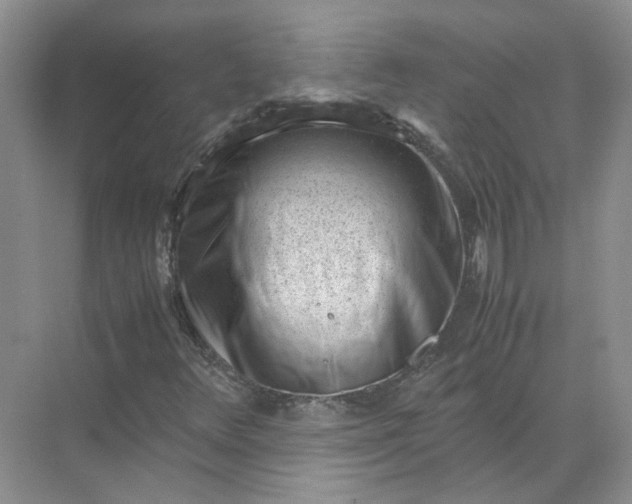 X0000072531348200607290213